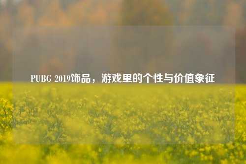 PUBG 2019饰品，游戏里的个性与价值象征