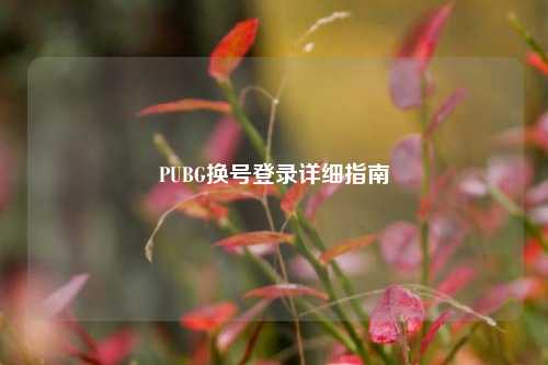 PUBG换号登录详细指南