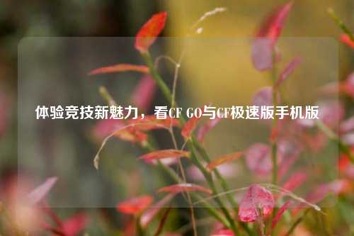 体验竞技新魅力，看CF GO与CF极速版手机版