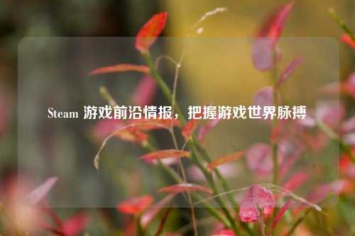 Steam 游戏前沿情报，把握游戏世界脉搏