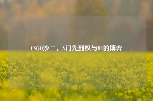 CSGO沙二，A门先到权与B1的博弈