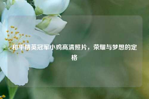 和平精英冠军小鸡高清照片，荣耀与梦想的定格