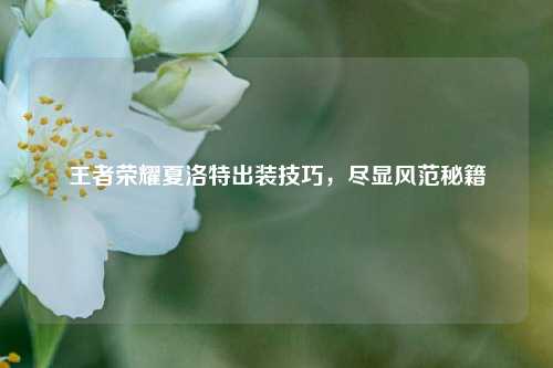 王者荣耀夏洛特出装技巧，尽显风范秘籍