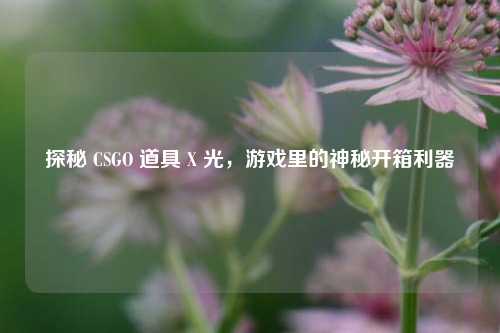 探秘 CSGO 道具 X 光，游戏里的神秘开箱利器