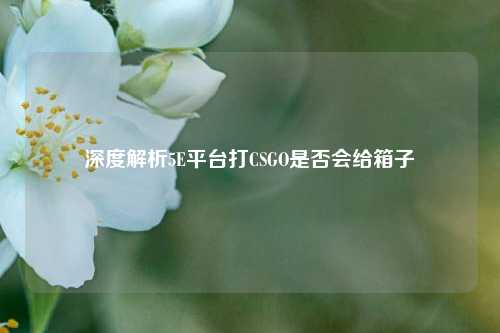 深度解析5E平台打CSGO是否会给箱子