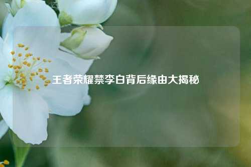 王者荣耀禁李白背后缘由大揭秘