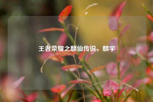 王者荣耀之麟仙传说，麟宇