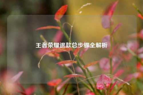 王者荣耀退款总步骤全解析