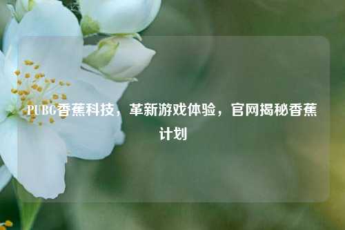 PUBG香蕉科技，革新游戏体验，官网揭秘香蕉计划